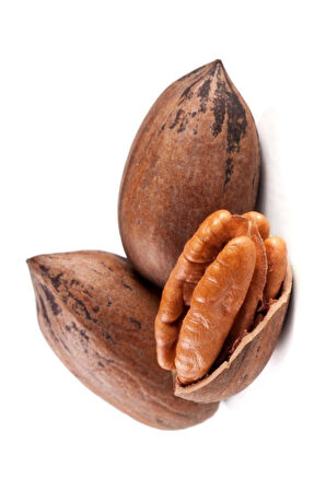 Pikan Ceviz 1 Kg. Kabuklu Pecan Nut