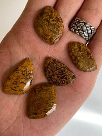 Kabaşon Kesim Doğal Coquina Jasper Taşı 21 Gram Lot 6