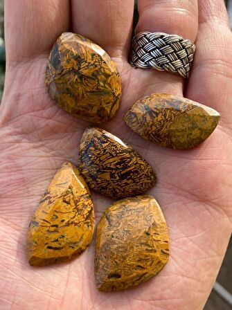 Kabaşon Kesim Doğal Coquina Jasper Taşı 21 Gram Lot 6