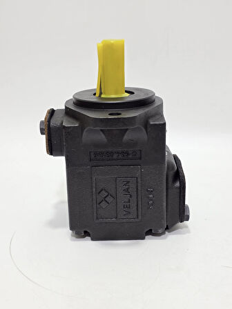 Suxus SV6CY-B25-1R00-B1 Hidrolik Pompa 79.3 ml/rev