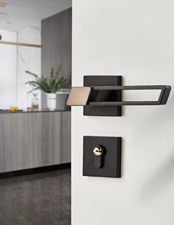 Minkingden 9903 Minimalist Sessiz Kapı Kolu Kilit Seti 