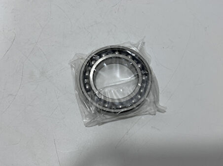 FAG 6009 Rulman 45x75x16mm