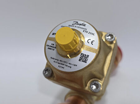Danfoss ETS 250L Elektronik Genleşme Valfi 1 5/8" - 1 5/8" 034G3521