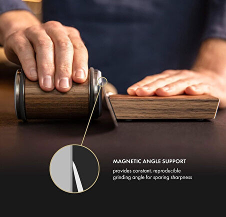 Profesyonel Manyetik Açılı Bıçak Bileyici 