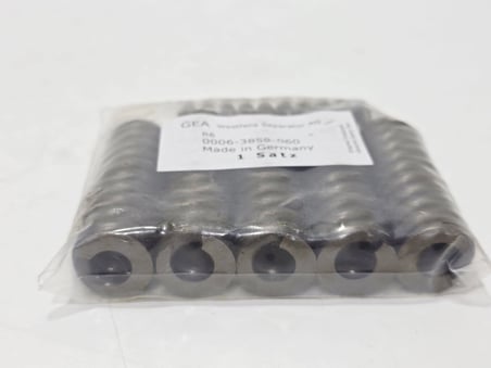 Gea 0006-3859-060 Seperatör Boyun Yatak Yayı 6 Adet