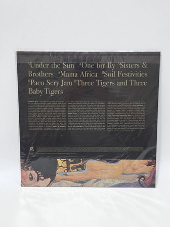 Afrodyssey Orchestra - Under the Sun LP Plak
