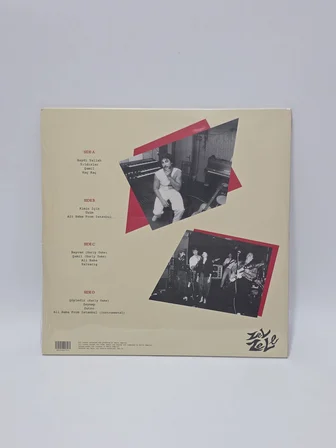 Cafe Türk LP Plak