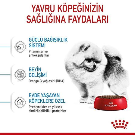 Royal Canin Mini Indoor Puppy