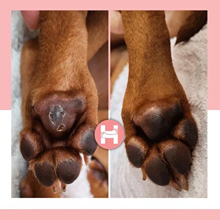 Hug The Dog Paw Care 15 ml Stick