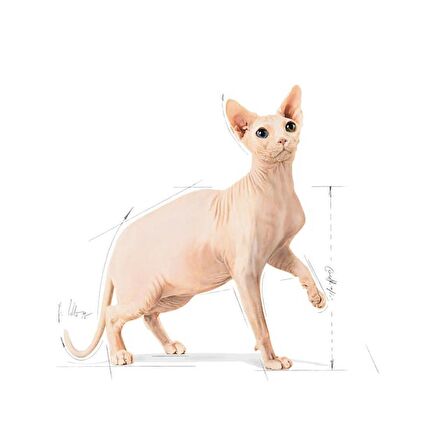 Royal Canin Sphynx 2kg