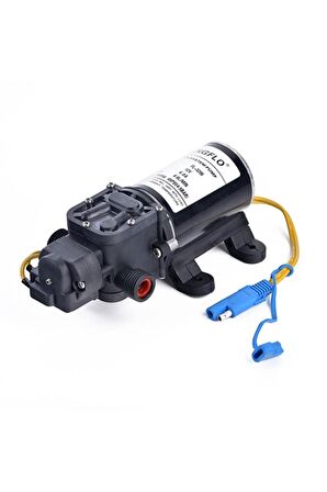 Singflo Hidrofor Pompası 12 Volt 6lt 65psi