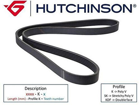 Hutchinson 6PK1750 1750 K 6 Kanallı Kayış Megane 1.6-1.8-2.0 16V 00 Berlingo 99 C5 01-04 P306 98-01 P406 96-04 7700107175
