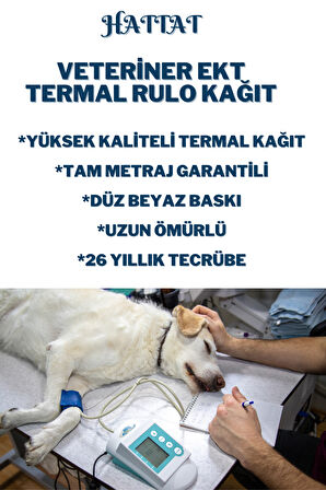 50 Rulo Veteriner EKG 50mmx25metre Tam Metrajlı Yüksek Kaliteli DÜZ Rulo Termal Kağıt