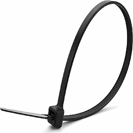 TORK 100-25B 100X2,5 Siyah Trk66 Kablo Bağı 