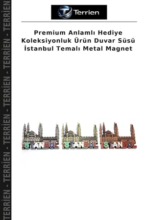 Premium Anlamlı Hediye Koleksiyonluk Ürün Duvar Süsü İstanbul Temalı Metal Magnet