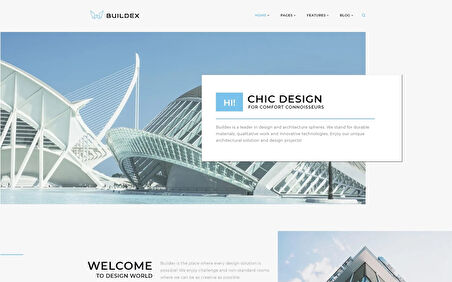 Buildex - Multipage Architecture Agency Wordpress Teması
