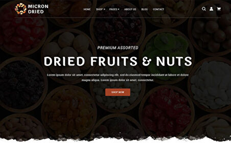 Micron Dried - Fruits and Nuts OpenCard Teması