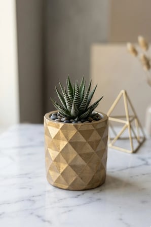 Mini Beton Saksı | Soft Gold Dekoratif Sukulent ve Kaktüs Saksısı