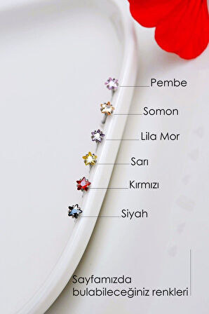 Lila Svarovski Yıldız Taşlı Çelik Hızma