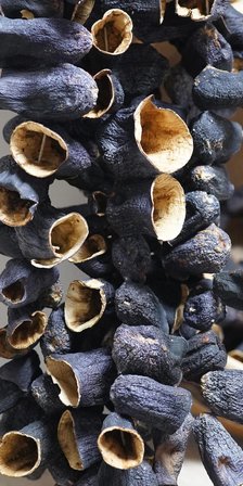 Hamidiye Yöresel Dolmalık Kurutulmuş Patlıcan bir ip (45-50 adet)