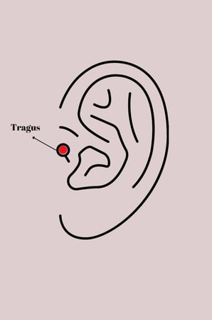 316L Çelik Gümüş Renk Renkli Zirkon Taşlı Yıldız Model Tragus Piercing 5886