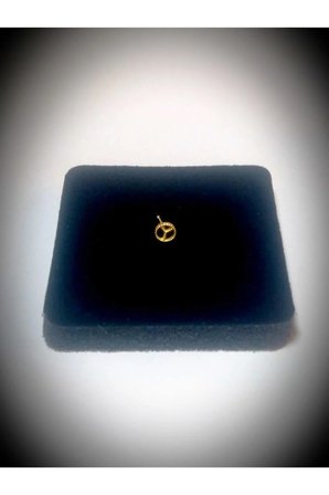 925 Ayar Gold Gümüş Hızma