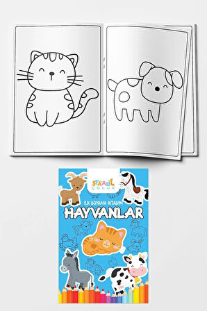 İlk Boyama Kitabım - Eğlenceli Boyama Seti 3 ( Meyveler - Sebzeler - Hayvanlar - Taşıtlar)