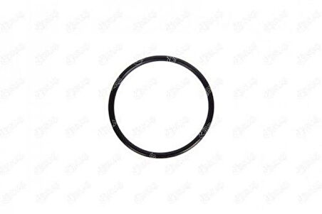Ibras 11069 Gaz Kelebegı Contası 63Mm 4Mm Ince Dacıa Duster Logan I-Iı Sandero I Renault Captur I Clıo II Kangoo Laguna I-Iı Megane I-Iı Trafıc II Opel Vıvaro A