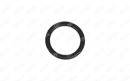 Ibras 28067 Su Borusu Contası (20×3Mm) Amarok Bora Caddy Cc Golf V Vı Jetta Passat Polo Tıguan Touareg T5 T6 T7 Cordoba Ibıza Fabıa Octavıa Superb Yetı 1.6Fsı 2.0Tsı Tfsı Bse Bsf Blblr Bly Axbwa Bpy Byd