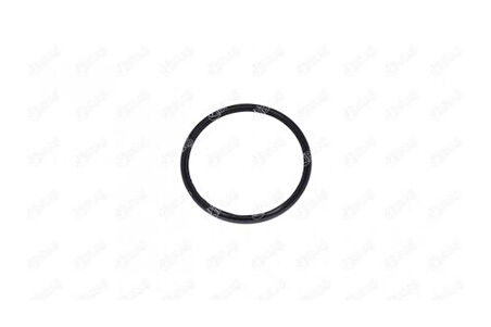 Ibras 35014 Turbo Hortum Contası Bmw 316 318 320 325 328 330 335 418 420 425 428