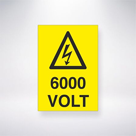 6000 Volt