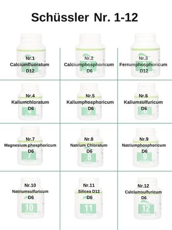 SCHÜSSLER TUZLARI NR. 1-12 FONKSİYONEL EKONOMİK SET ( 12 KUTU X 400 TABLET)