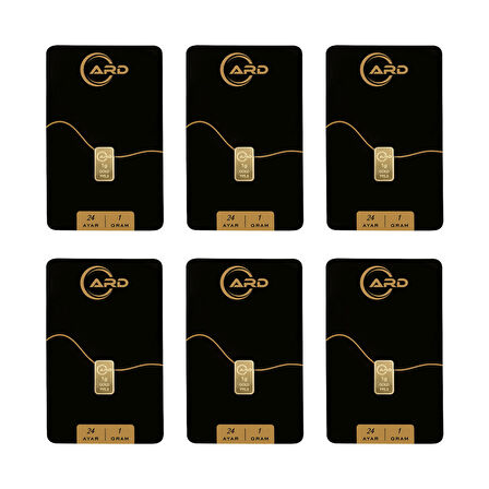 İstanbul Bilezik ARD 1 gr 24 Ayar Külçe Altın 6 Adet