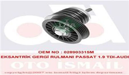 Ina 534018510 Alternatör Gergi Rulmanı Gerdırıcı Passat A4 A6 1.9Tdı Afn Avg