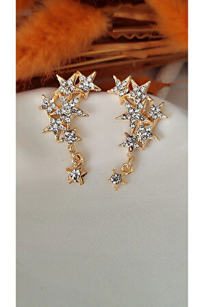 ZİRKON YILDIZ METAL GOLD KÜPE