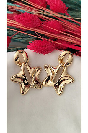 YILDIZ METAL SİLVER GOLD KÜPE