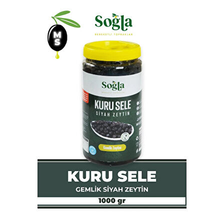İri Kuru Sele Gemlik Zeytini 1000g