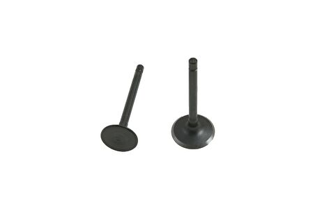 Yamaha YBR 125 Subap Takım