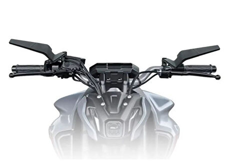 Rks RZ 125 Kanat Ayna H2 Katlanır Naked Model Büyük  HSBB030