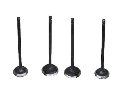 Mondıal Rx3 250i Evo Subap Takımı