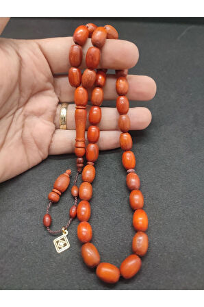 Başka Yerde Yok!!! Hakan Kaya Usta Eseri İri Boy Gül Ağacı Sertifikalı 8056