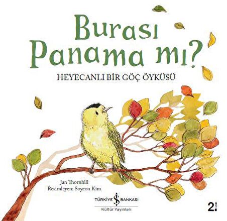 Burası Panama mı? Heyecanlı Bir Göç Öyküsü