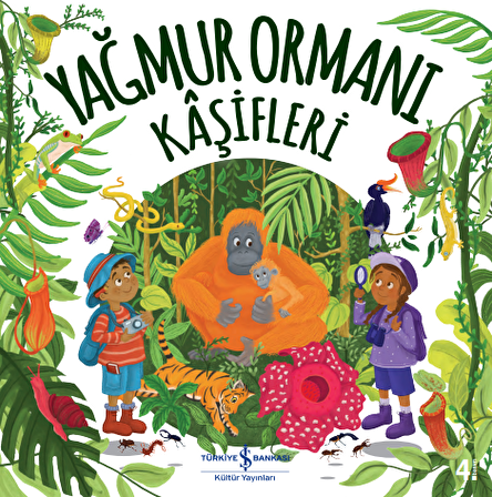 Yağmur Ormanı Kâşifleri