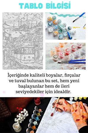Sayılarla Boyama Çerçeveli Hobi Seti Numaralı Tuval Fırça Boya Dahil Kasnaklı İSTANBUL 40X50 Cm