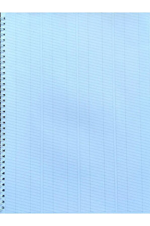 Italik Kaligrafi Defteri-ıtalik Defter-yazı Defteri (YATAY DİKEY ÇİZGİLİ-MAT KUŞE)-defolu