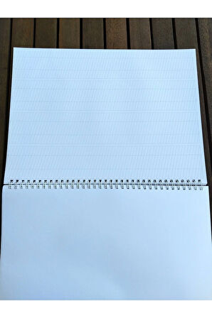 Italik Kaligrafi Defteri-ıtalik Defter-yazı Defteri (YATAY DİKEY ÇİZGİLİ-MAT KUŞE)-defolu