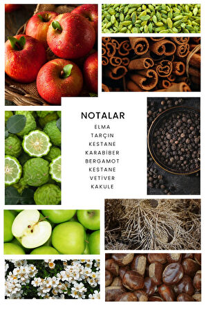 Warrior Parfüm 100 ML