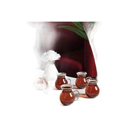 Togo Keyif Tombik Borosilikat Cam Çay Bardağı Kulplu 6' Lı