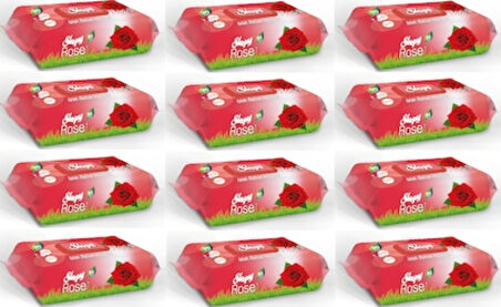 Sleepy Gül Kokulu Islak Bebek Havlusu 12 X 90'Lı