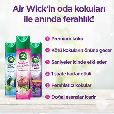 Air Wick Aerosol Lavanta Esintisi 3x300 Ml Lavanta 